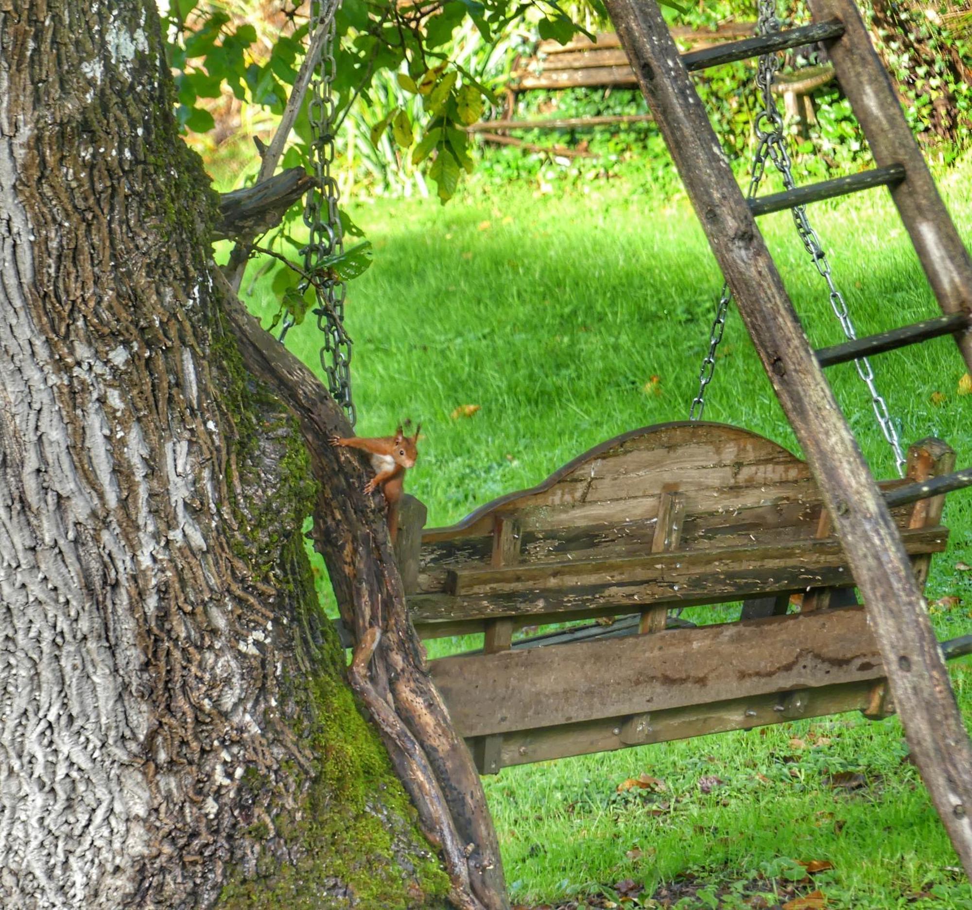 Bed and Breakfast Au Coeur Des Loges à Saint-Bonnet-de-Bellac Extérieur photo